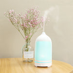 Mini Mist Diffuser